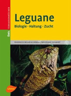 Leguane - Henkel, Friedrich Wilhelm;Schmidt, Wolfgang