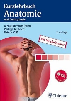 Kurzlehrbuch Anatomie - Bommas, Ulrike / Teubner, Philipp / Voß, Rainer