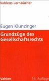 Grundzüge des Gesellschaftsrechts