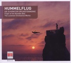 Cover Hummelflug