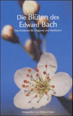 Edition Tirta: Kartenset Die Blüten des Edward Bach - Maier, Helmut