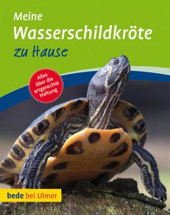 Meine Wasserschildkröte zu Hause - Gorf, Tina; Schneider, Eva G