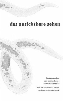 Das Unsichtbare sehen - Haupt, Sabine / Stadler, Ulrich (Hgg.)