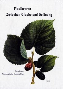 Maulbeeren - Zwischen Glaube und Hoffnung - Heilmeyer, Marina;Seiler, Michael