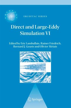 Direct and Large-Eddy Simulation VI - Lamballais, Eric / Friedrich, Rainer / Geurts, Bernard J. / Métais, Olivier (eds.)