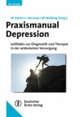 Praxismanual Depression, m. CD-ROM