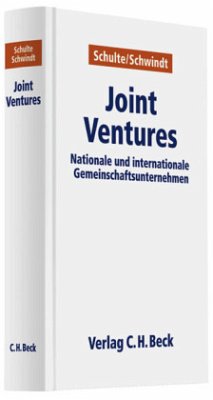 Joint Ventures - Schulte, Knut;Schwindt, Karl-Heinz;Kuhn, Christian