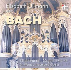 Orgelwerke-Hildebrandt-Orgel Naumburg - Ullmann,Elisabeth