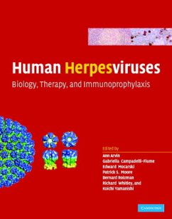 Human Herpesviruses - Arvin, Ann / Campadelli-Fiume, Gabriella / Mocarski, Edward / Moore, Patrick S. / Roizman, Bernard / Whitley, Richard / Yamanishi, Koichi (eds.)