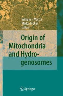 Origin of Mitochondria and Hydrogenosomes - Martin, William F. / Müller, Miklós (eds.)