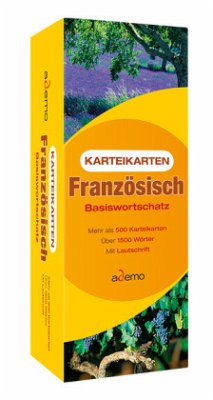 Karteikarten Französisch Basiswortschatz, m. Lernbox