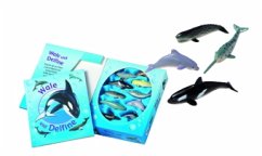 Cover Wale und Delfine, m. bunten Spielfiguren