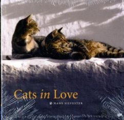 Cats in Love - Silvester, Hans