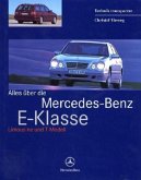 Alles über die Mercedes-Benz E-Klasse