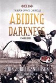 Abiding Darkness