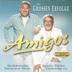Die Großen Erfolge - Amigos