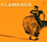 Flamenco Spanish Passion