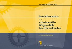 Kurzinformation über Arbeitsunfälle - Wegeunfälle - Berufskrankheiten - Schieke, Heinz / Braunsteffer, Heike / Schudmann, Jörg