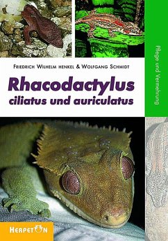 Rhacodactylus ciliatus und auriculatus - Henkel, Friedrich W;Schmidt, Wolfgang
