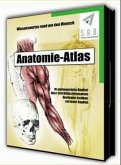 Anatomie Atlas, 1 CD-ROM