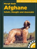 Afghane - Saluki, Sloughi und Azawakh