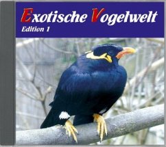 Exotische Vogelwelt - Dingler, Karl-Heinz