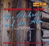 Der Bassgeiger Zu Wörgl