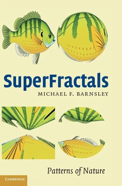 Superfractals - Barnsley, Michael Fielding