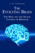 The Evolving Brain - Bild 1