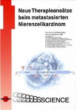 Neue Therapieansätze beim metastasierten Nierenzellkarzinom