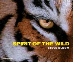 Spirit of the Wild - Bloom, Steve