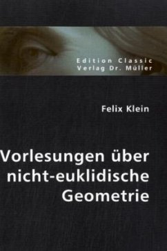 Vorlesungen über nicht-euklidische Geometrie - Klein, Felix