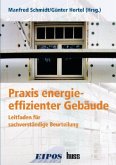 Praxis energieeffizienter Gebäude