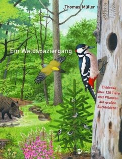 Ein Waldspaziergang - Thomas M. Müller