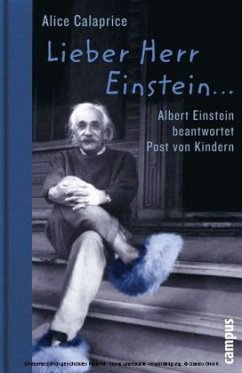 Cover Lieber Herr Einstein...