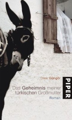 Das Geheimnis meiner türkischen Großmutter - Güngör, Dilek