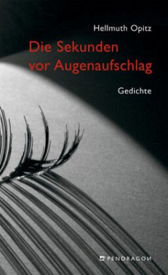 Cover Die Sekunden vor Augenaufschlag