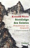 Streifzüge des Geistes