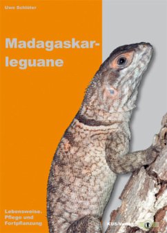 Madagaskarleguane - Schlüter, Uwe