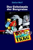 Das Geheimnis der Burgruine / TKKG Bd.107