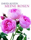 Meine Rosen