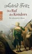 Der Ruf des Kondors - Bild 1
