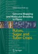 Pulses, Sugar and Tuber Crops - Bild 1