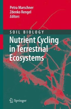 Nutrient Cycling in Terrestrial Ecosystems - Marschner, Petra / Rengel, Zdenko (eds.)