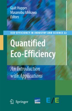 Quantified Eco-Efficiency - Huppes, Gjalt / Ishikawa, Masanobu (eds.)