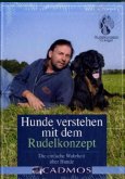 Hunde verstehen mit dem Rudelkonzept