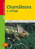 Chamäleons