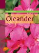 Oleander - Bild 1