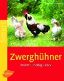 Zwerghühner