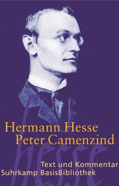 Peter Camenzind - Hesse, Hermann